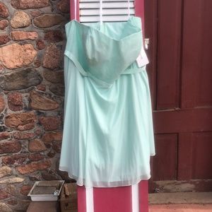 David's Bridal Mesh Lace Bodice Dress